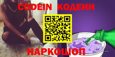 мдпв Кингисепп