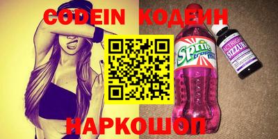 мдпв Кингисепп