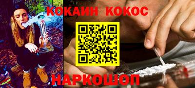 мдпв Кингисепп