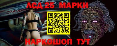 мдпв Кингисепп