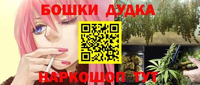 мдпв Кингисепп
