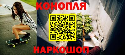 мдпв Кингисепп