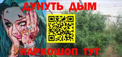 мдпв Кингисепп