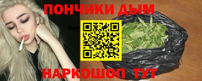 мдпв Кингисепп