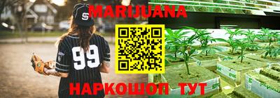 мдпв Кингисепп