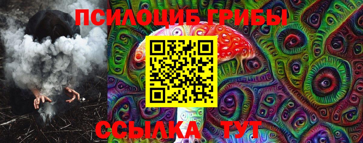Галлюциногенные грибы Psilocybe Красноярск